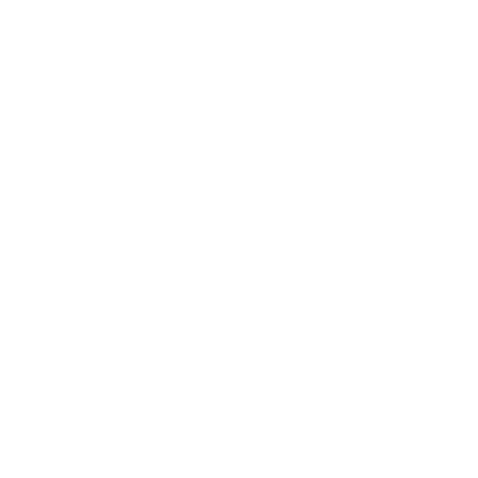 Our Vision